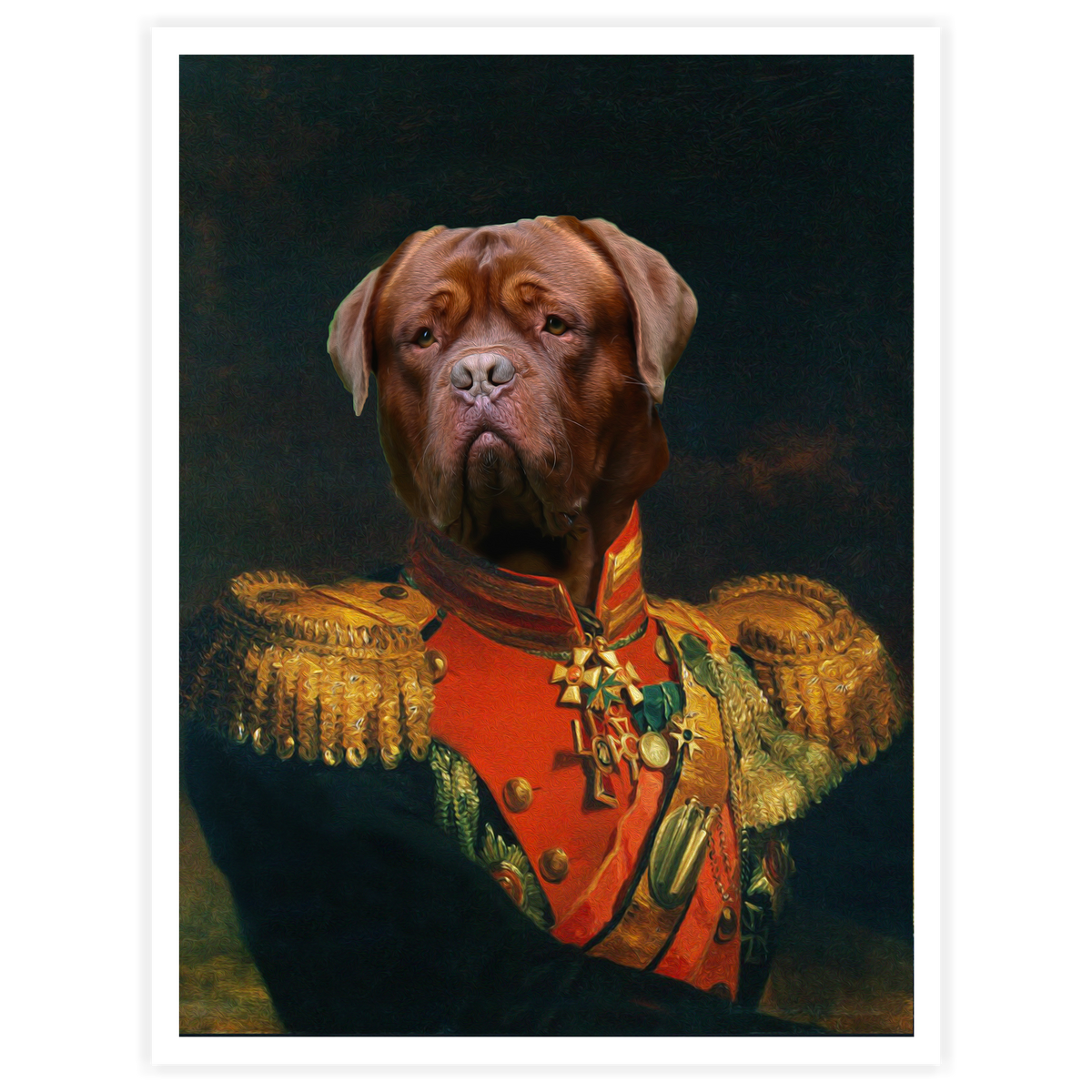 Napoleon - Personal Custom Vintage Pet Portrait