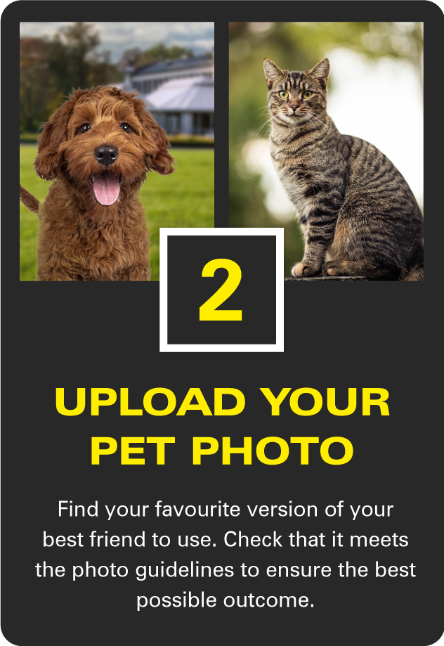 Custom pet portraits. Choose an outfit for your dog, cat, hamster, bearded dragon or rabbit. Turn them into a fun regal art framed canvas print. Choose from a royal, soldier or regal outfit. Upload you animal image we will design your pet portrait.