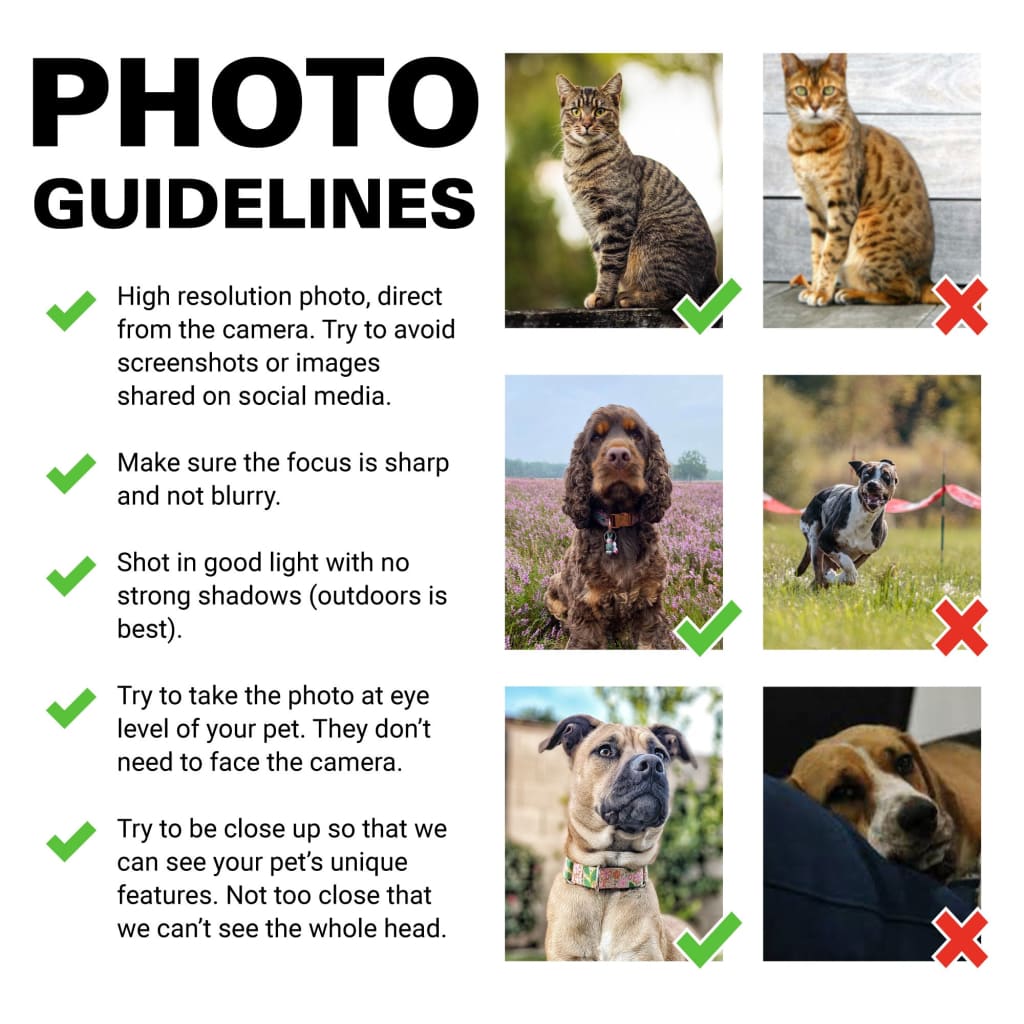 Admiral - Personal Custom Vintage Pet Portrait