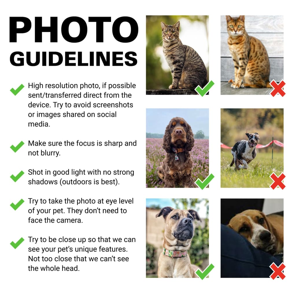 Esquire - Personal Custom Vintage Pet Portrait