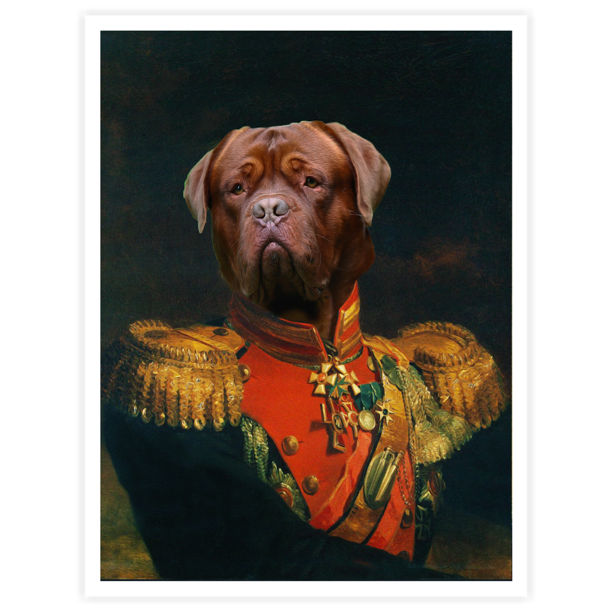 Napoléon - Portrait personnel vintage pour animaux de compagnie