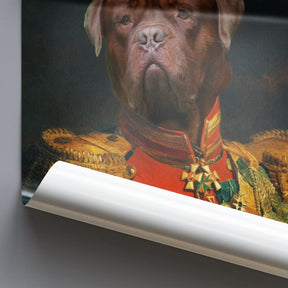 Napoleon - Personal Custom Vintage Pet Portrait - Photo / 